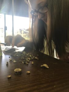 Hadden sifting through a small bag of fish teeth and ear bones.