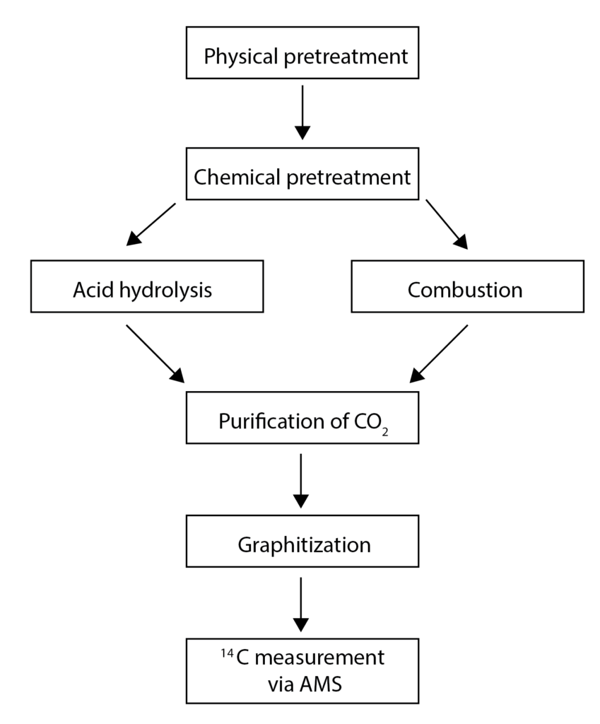 Flowchart showing steps for radiocarbon analysis at the facility: physical and chemical pretreatment, acid hydrolysis or combustion, CO₂ purification, graphitization, and ¹⁴C measurement via AMS.