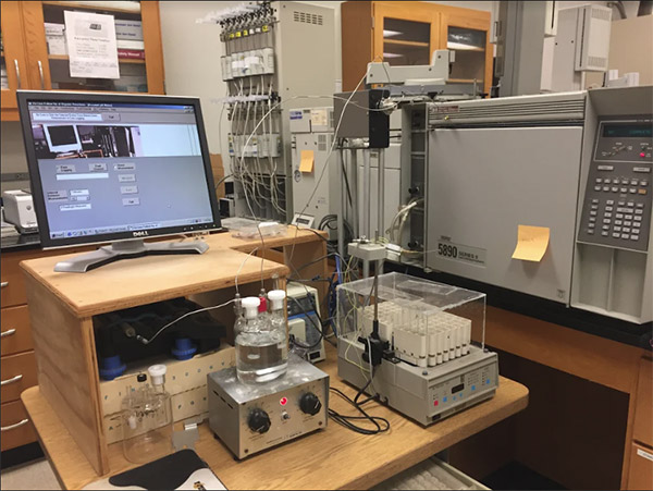 LEA’s catalysis study system